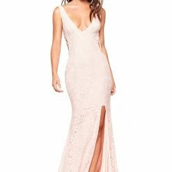 A&N Boutique A&N Luxe Lorena Shimmering Lace Gown - Blush