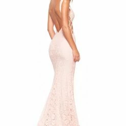 A&N Boutique A&N Luxe Lorena Shimmering Lace Gown - Blush
